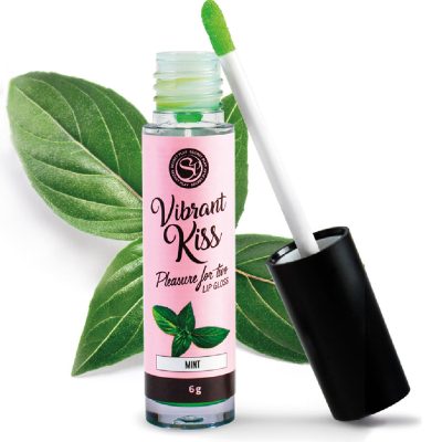 lip gloss menta secretplay